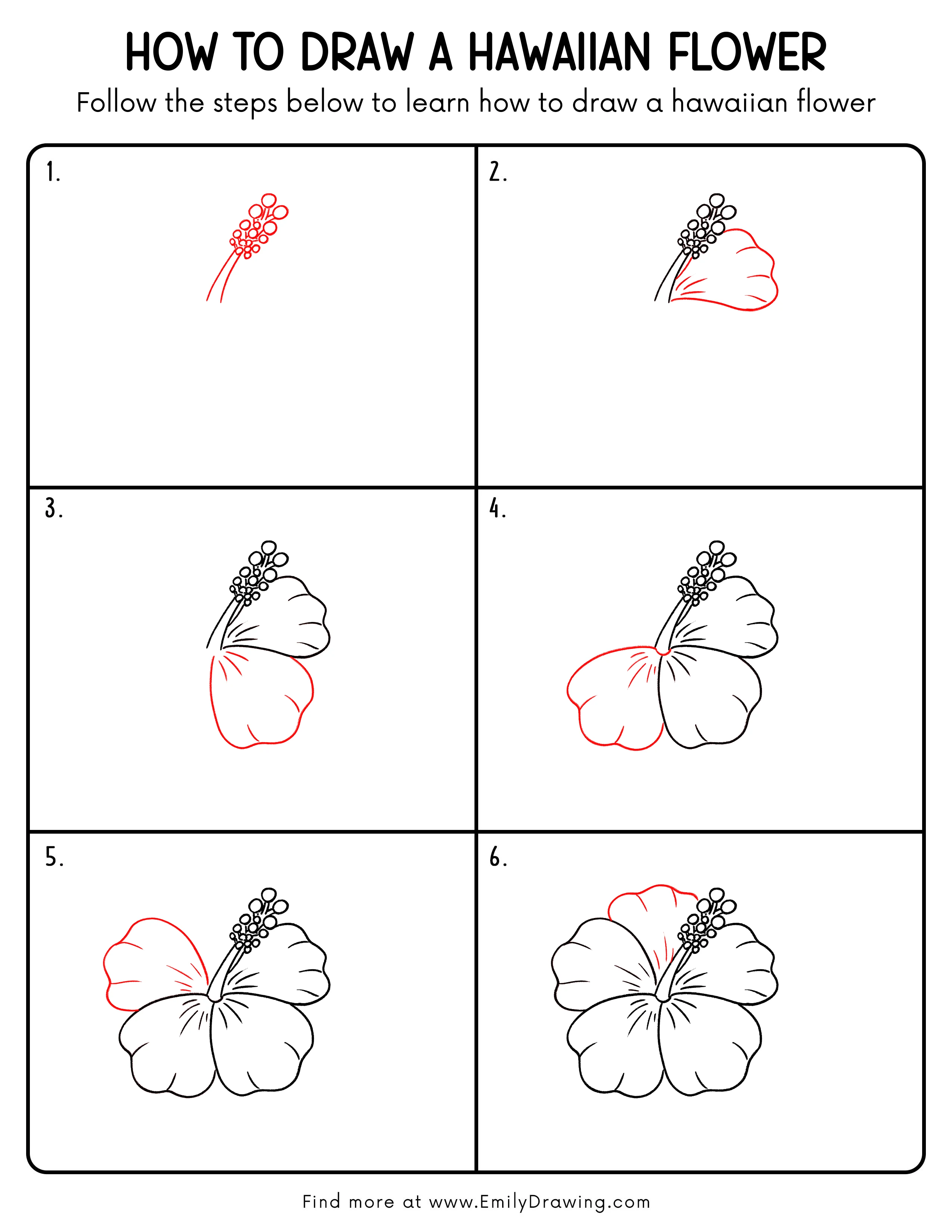 Printable Hawaiian Flower Drawing Guide